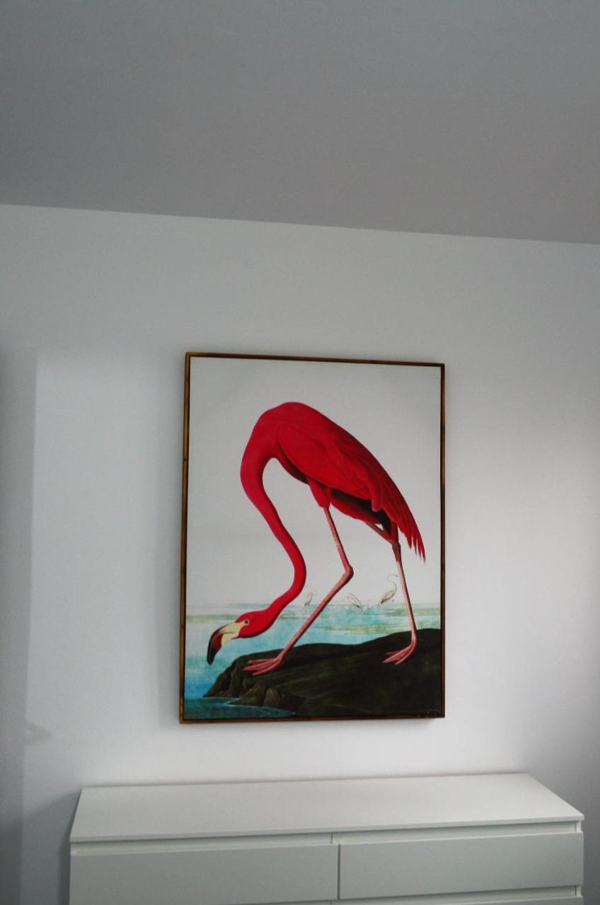 Apartamento Sauco Los Llanos De Aridane Extérieur photo